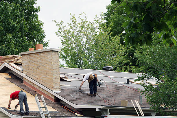 Best Best Roofing Contractors  in Honey Grove, TX