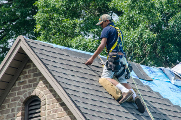 Best Gutter Installation and Roofing  in Honey Grove, TX