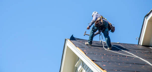 Best Best Roofing Contractors  in Honey Grove, TX