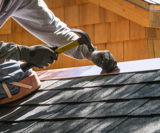 Best Roof Gutter Cleaning  in Honey Grove, TX